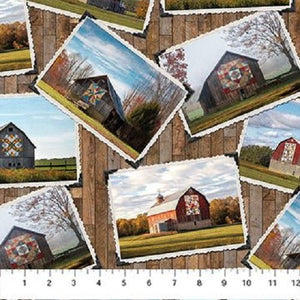 Barn Quilts DP27315-36